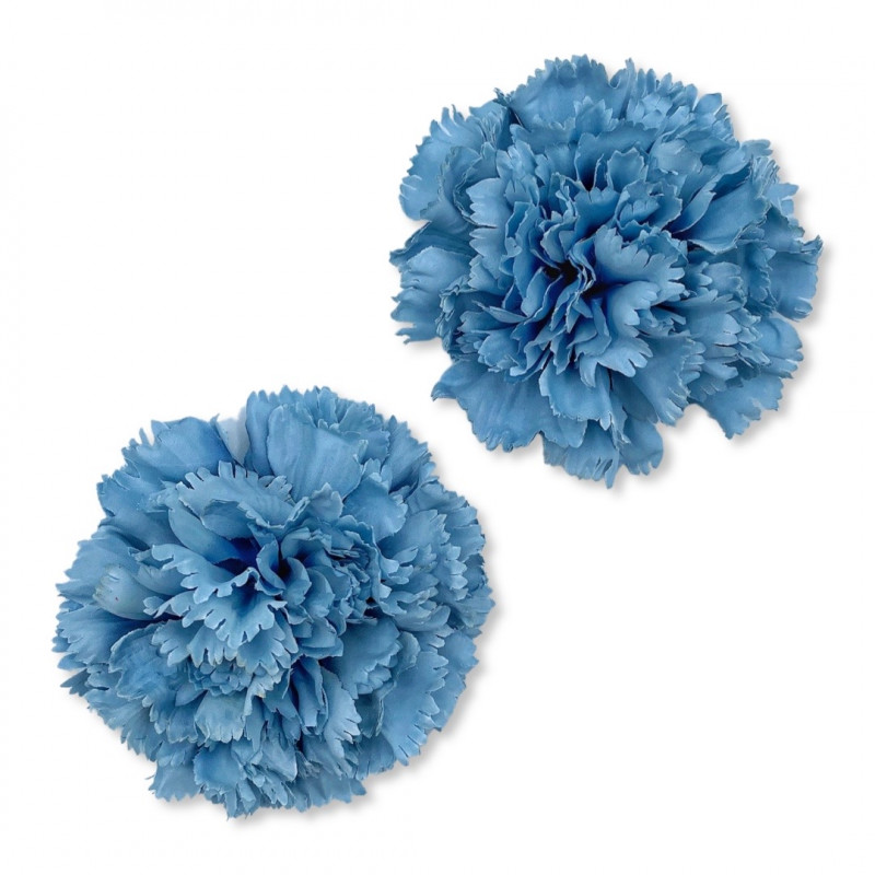 CARRIE Sky Blue Shoes Clips